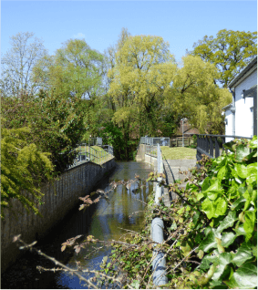 Picture Grand Western Canal