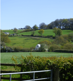 Picture of the Halberton Road Bridge